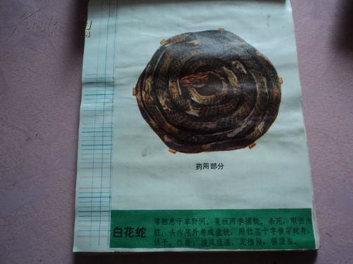 彩色中草药收购图样解析 传统药材的现代价值