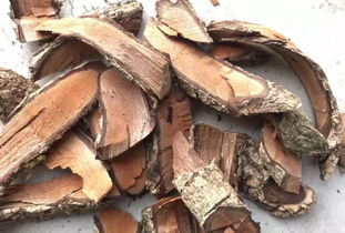 中药材原料购销标准与收藏备用手册