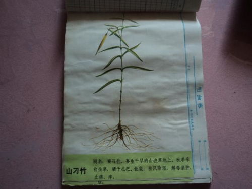 中药材收购图样的色彩之美与市场价值