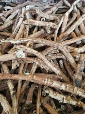 鲜牡丹根收购价格 常年收购牡丹成品与中草药的价值解析